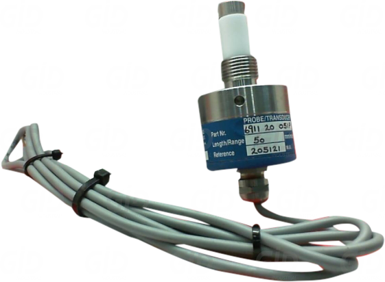 6911-2005-1P - EUROGAUGE